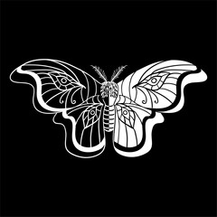 Butterfly logo vector illustration, Design element for logo, poster, card, banner, emblem, t shirt. Vector illustration