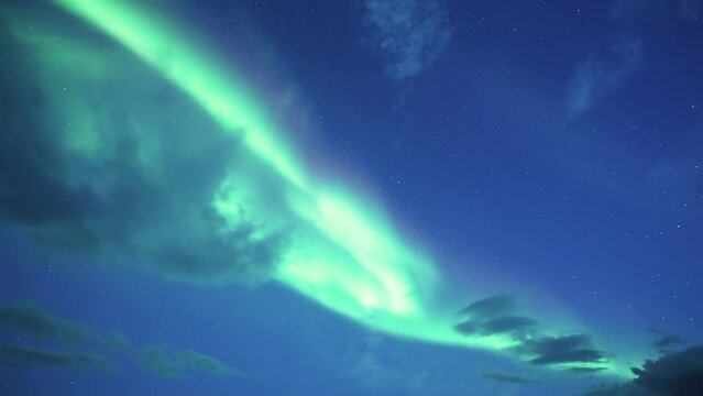 A magnificent display of the northern lights in the dark winter sky.