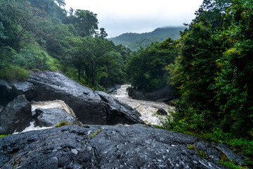 Fototapeta na wymiar water flowing over rocks in the forest
