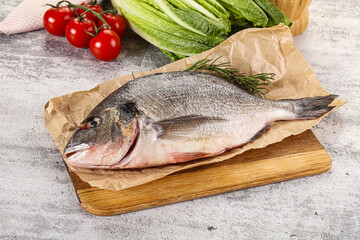 Raw dorada fish served rosemary