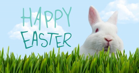 Image of happy easter, white bunny and grass