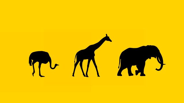 Walking elephant, giraffe and ostrich: animation on the yellow background (seamless loop)