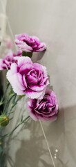 bouquet of pink roses