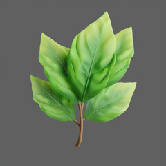 green leaf on a grey background