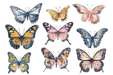 white watercolor background set colorful hand butterflies Vector pastel drawn