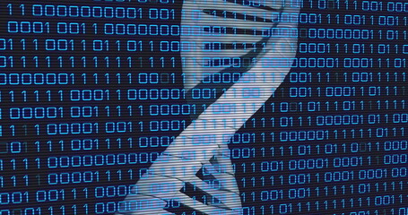 Image of data processing over dna strand on black background