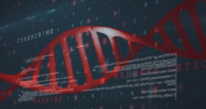 Image of dna strand over data processing on black background