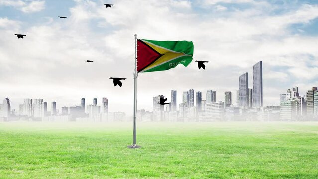 The flag of Guyana is flying and the birds are flying with it