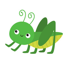 Grasshopper cricket locust icon. Cute cartoon kawaii funny baby character. Insect bug collection. Childish style. Flat design. White background. Isolated. - 757774213