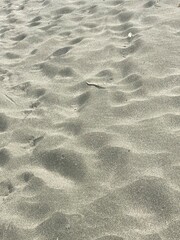 Sand Texture for Background