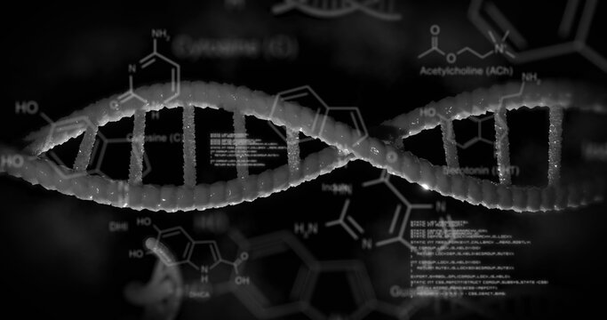 Dna structure spinning and chemical structures against data processing on black background - Powered by Adobe