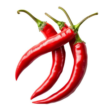 fresh chili isolated on transparent background With clipping path. cut out. 3d render