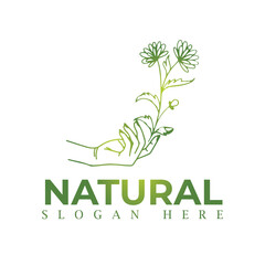 Natural, eco food, green leaf seedling, growing plant logo design vector template. Natural logos with leaves.
