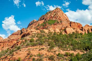 Fototapeta premium Zion National Park in Utah