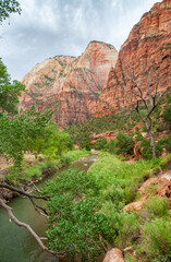 The Virgin River and its Tributaries at Zion National Park