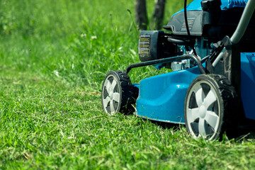 Fototapeta premium Lawn mower cutting grass. Small grass cuttings fly out of lawnmower. Grass clippings get spewed out of a mower pushed around by landscaper. CloseUp. Gardener working with mower machine. Mowing lawns