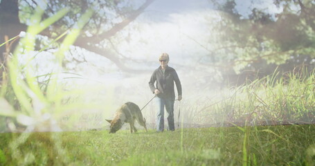 Image of glowing light over senior woman walking with dog in park
