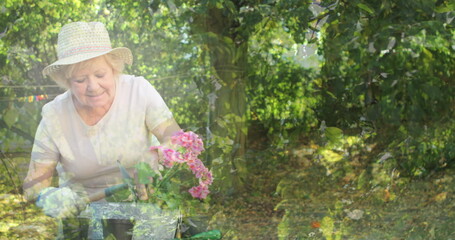 Composite image of tress in the forest against caucasian senior woman gardening in the garden