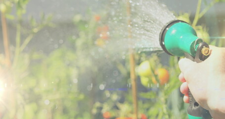 Spot of light against close up of a person's hand watering plants in the garden
