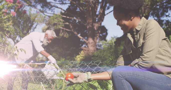 Spot of light against african american father and daughter gardening together in the garden