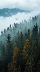 Plane Flying Over Foggy Forest