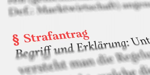 Das Wort Strafantrag im Buch erklärt mit Paragraph Zeichen © Nico