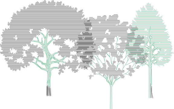Vector sketch illustration of a collection of trees with shading to complete the image