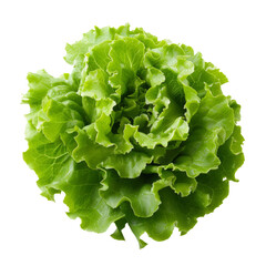 Fresh Frillice Iceberg Lettuce isolated on transparent background With clipping path. cut out. 3d render