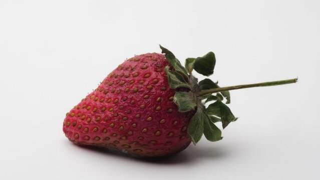 A captivating close-up time lapse video showcasing a strawberry's transition from ripe freshness to a shriveled, moldy state