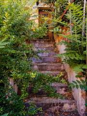 Remnant of another era, the stairs leading up to the door of the small house are half-hidden by the trees and greenery in the abandoned garden. A different travel to Athens, Greece...