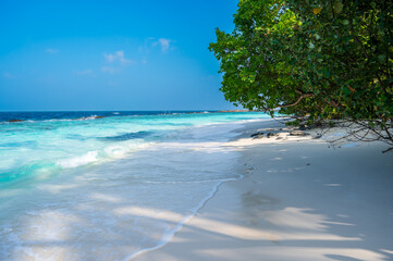 A beautiful sandy beach near a dense tropical forest.