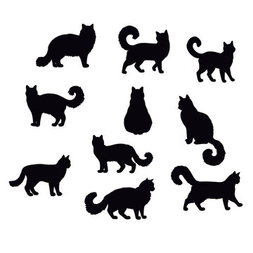 Isolated cats on the white background. cats silhouettes