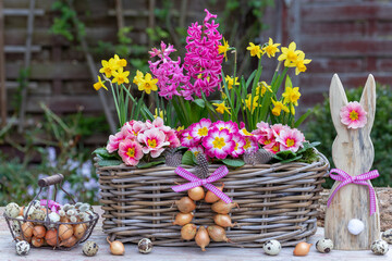Oster-Arrangement mit Osterhasen und Frühlingsblumen in Pink und Gelb im Korb