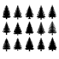 Obraz premium Isolated Pine on the white background. Pine silhouettes. Tree hand drawn