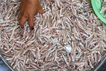 Fresh anchovies background, small fish high in calcium. Close-up shot.