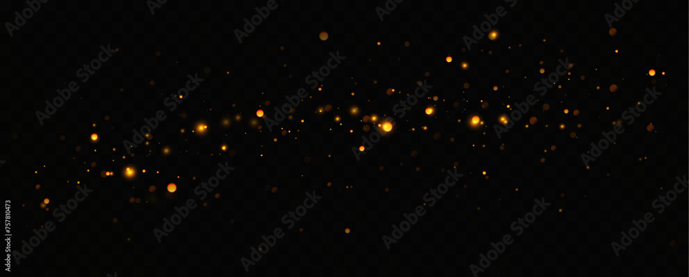 Leinwandbilder vector sparkles on a transparent background. christmas light effect. sparkling magical dust particle