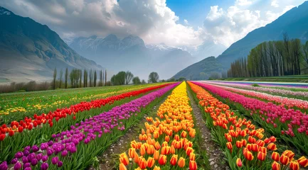 Fotobehang Vibrant tulip fields with colorful rows under a mountainous backdrop,ai generated © Rajesh