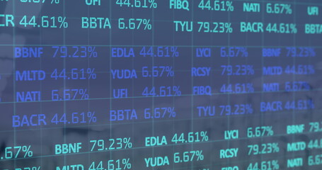 Fototapeta premium Image of financial data processing