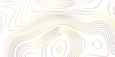 Topographic map background geographic line map pattern .panorama view golden color wave curve lines .geographic mountain relief abstract grid .the concept map of a conditional geography map .