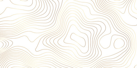 Topographic map background geographic line map pattern .panorama view golden color wave curve lines .geographic mountain relief abstract grid .the concept map of a conditional geography map .