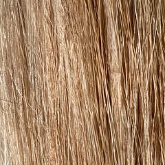 The Image is of a Brown and White Hair Texture With a Lot of Texture