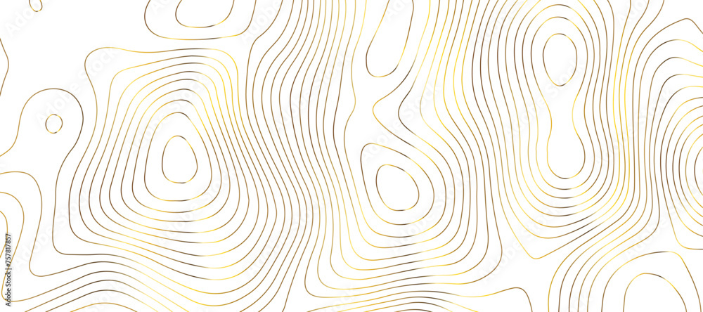 Wall mural topographic map background geographic line map pattern .panorama view golden color wave curve lines 