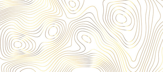 Topographic map background geographic line map pattern .panorama view golden color wave curve lines .geographic mountain relief abstract grid .the concept map of a conditional geography map .