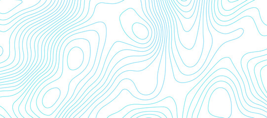 Topographic map background geographic line map pattern .panorama view blue color wave curve lines .geographic mountain relief abstract grid .the concept map of a conditional geography map . - obrazy, fototapety, plakaty