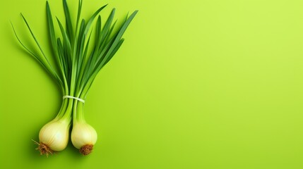 Green Onion Arranged on Plain Background