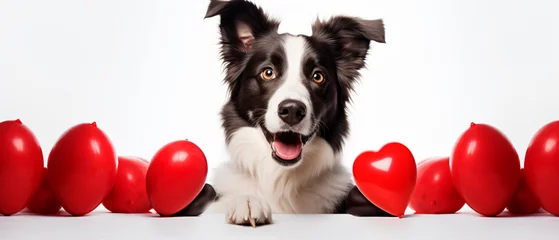 Fotobehang St. Valentines Day concept. Funny portrait cute puppy © levit