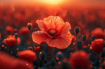 Foto op Plexiglas beautiful landscape with red flowers © therealnodeshaper