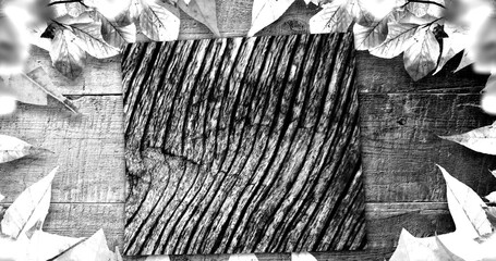 Image of plant leaves, wooden boards and changing wood grain pattern, black and white