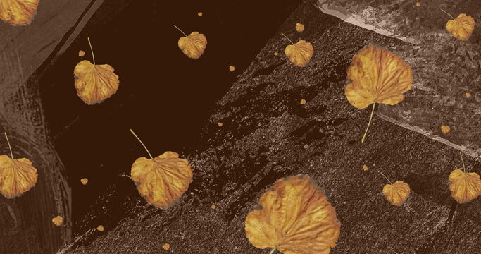 Image of brown autumn leaves falling over moving organic brown pattern