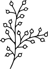 Branch With Berries Illustration